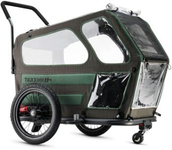 taxxi dog m 2559 2.jpg